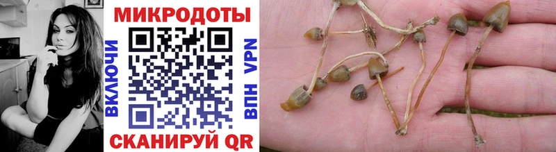 omg как войти как найти закладки Кызыл мориарти состав Галлюциногенные грибы Cubensis
