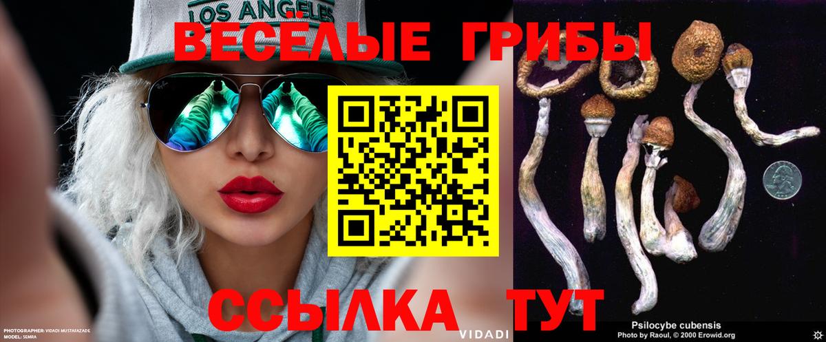 Псилоцибиновые грибы Psilocybe  Псилоцибиновые грибы мицелий  Кызыл 