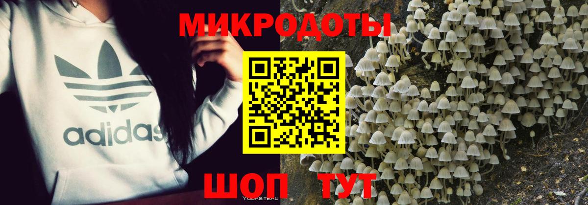 Кызыл  Галлюциногенные грибы Magic Shrooms  Вход с VPN 