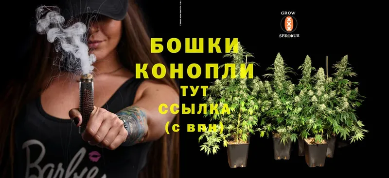 Бошки марихуана THC 21%  где продают наркотики  ОМГ ОМГ маркетплейс  Кызыл 